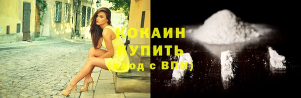 сатива Лабытнанги