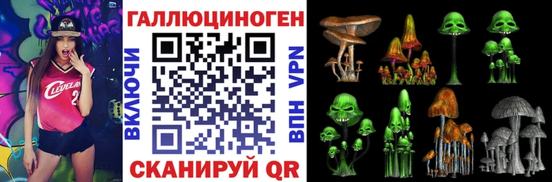 Псилоцибиновые грибы Psilocybine cubensis  купить наркотики сайты  Алапаевск 